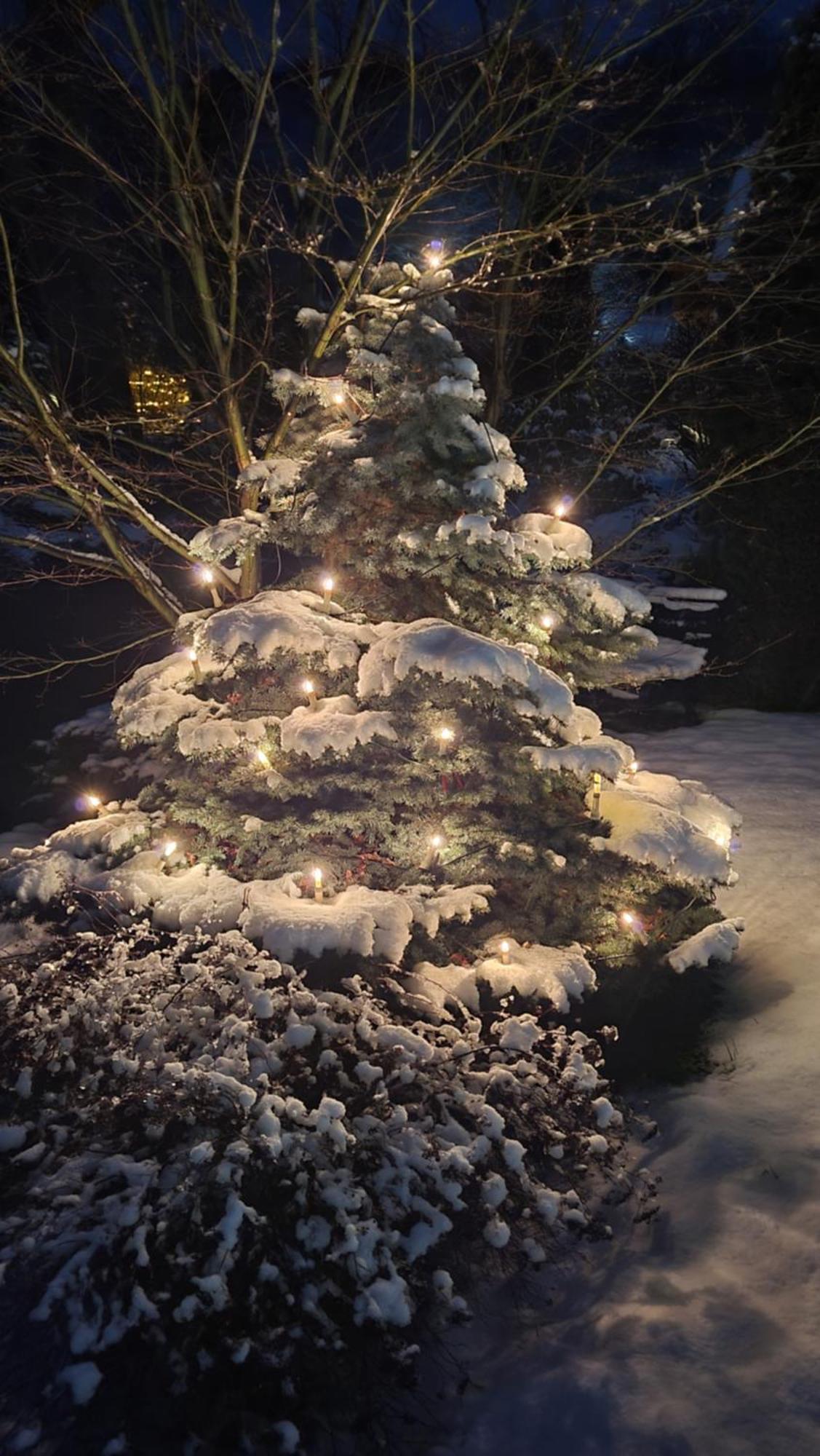 Szwajcarski Dworek Piechowice  Exteriér fotografie